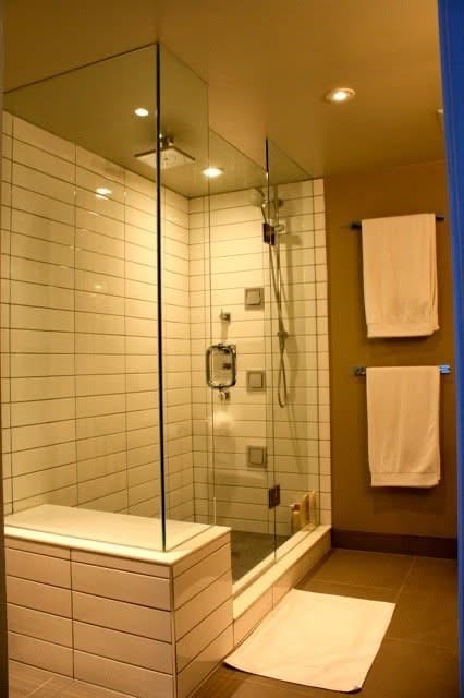Glass-panel shower installation